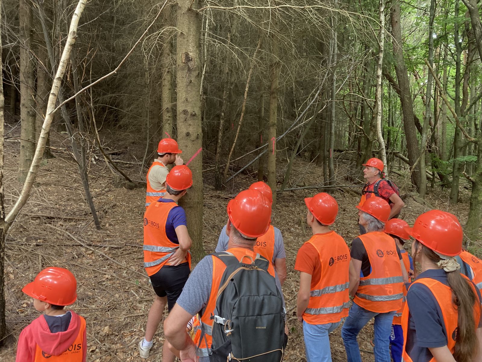 Chantier en forêt privée à Saint-Félicien