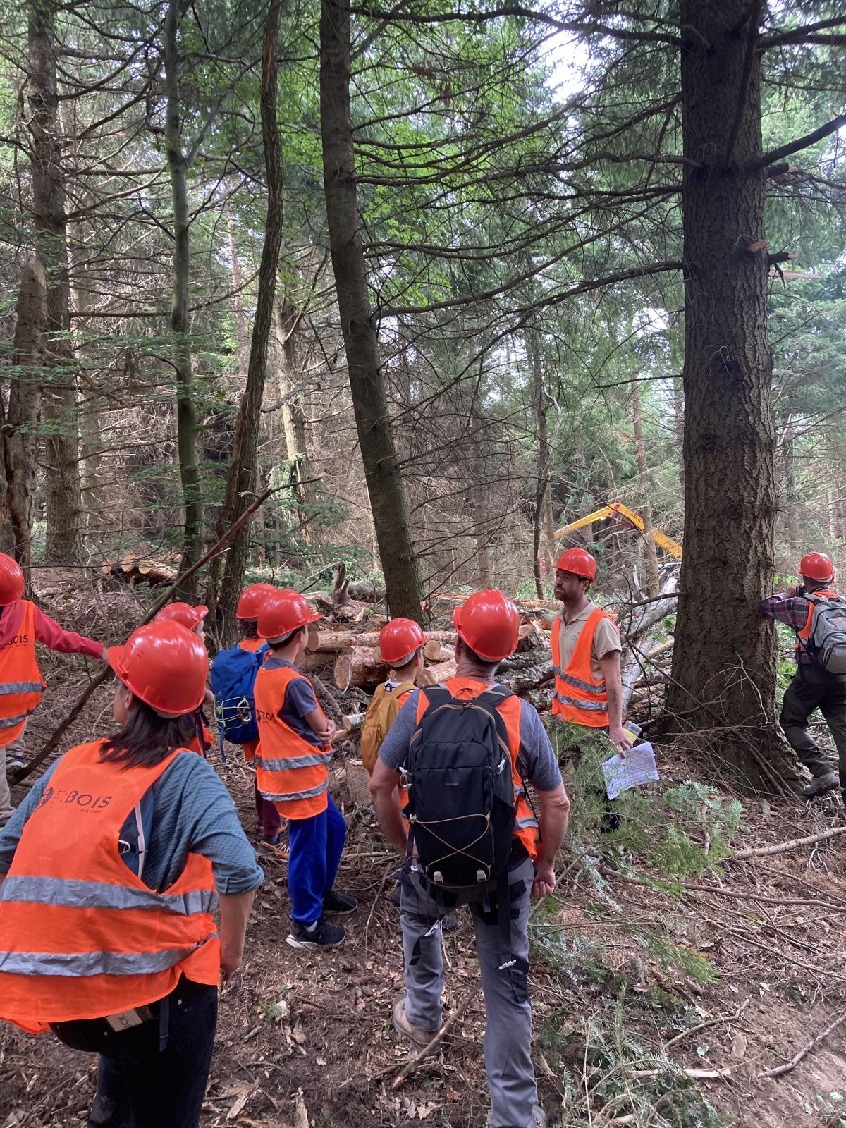 Chantier en forêt privée à Saint-Félicien