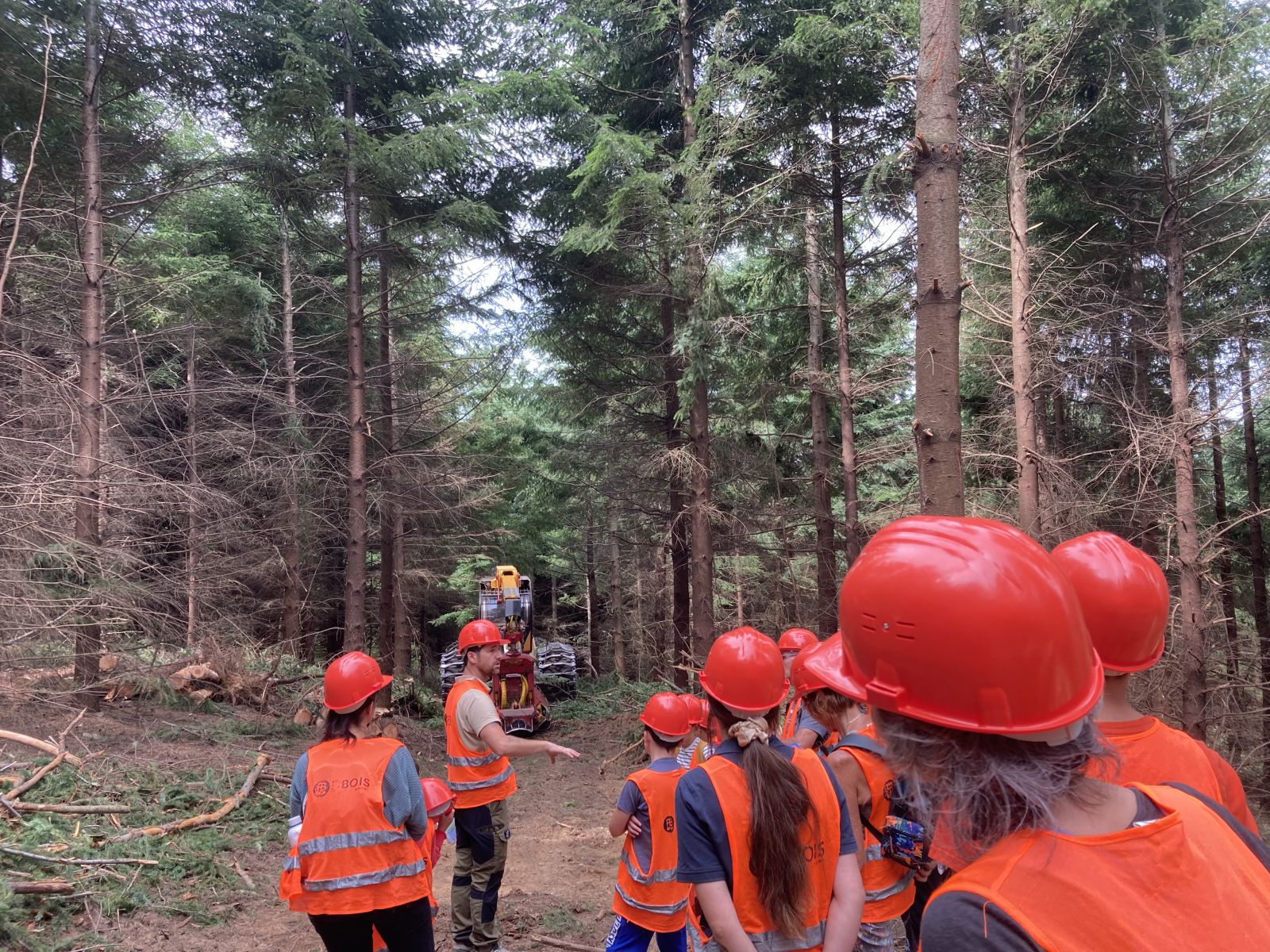 Chantier en forêt privée à Saint-Félicien