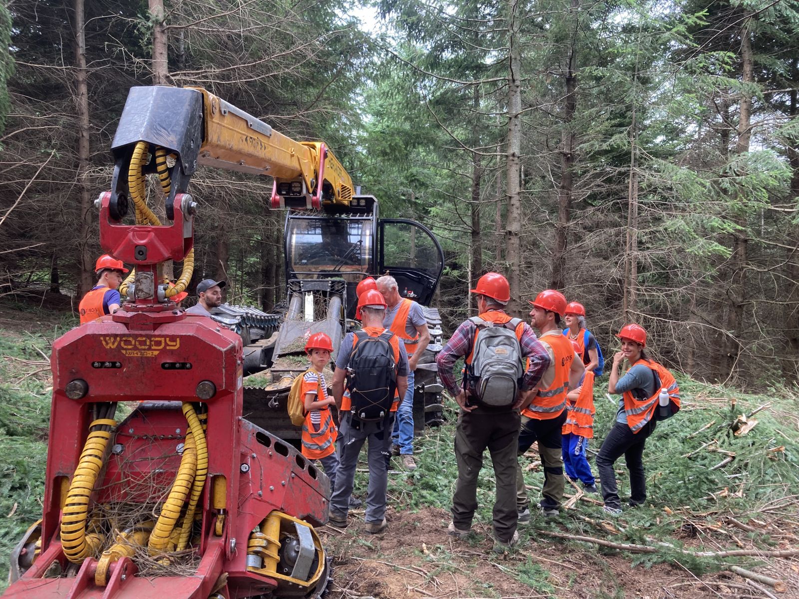 Chantier en forêt privée à Saint-Félicien
