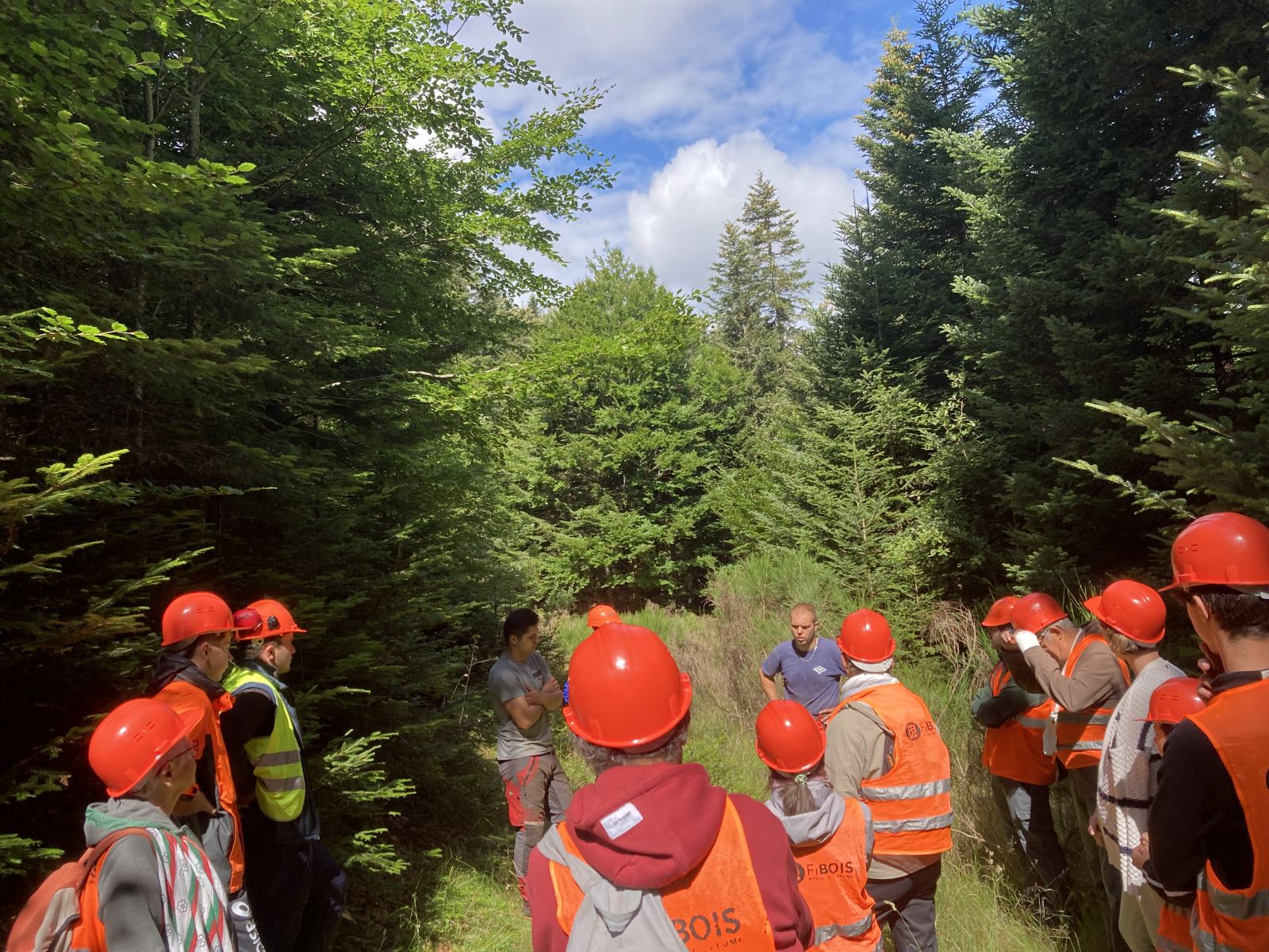 Chantier en forêt publique à Saint-Étienne-de-Lugdarès