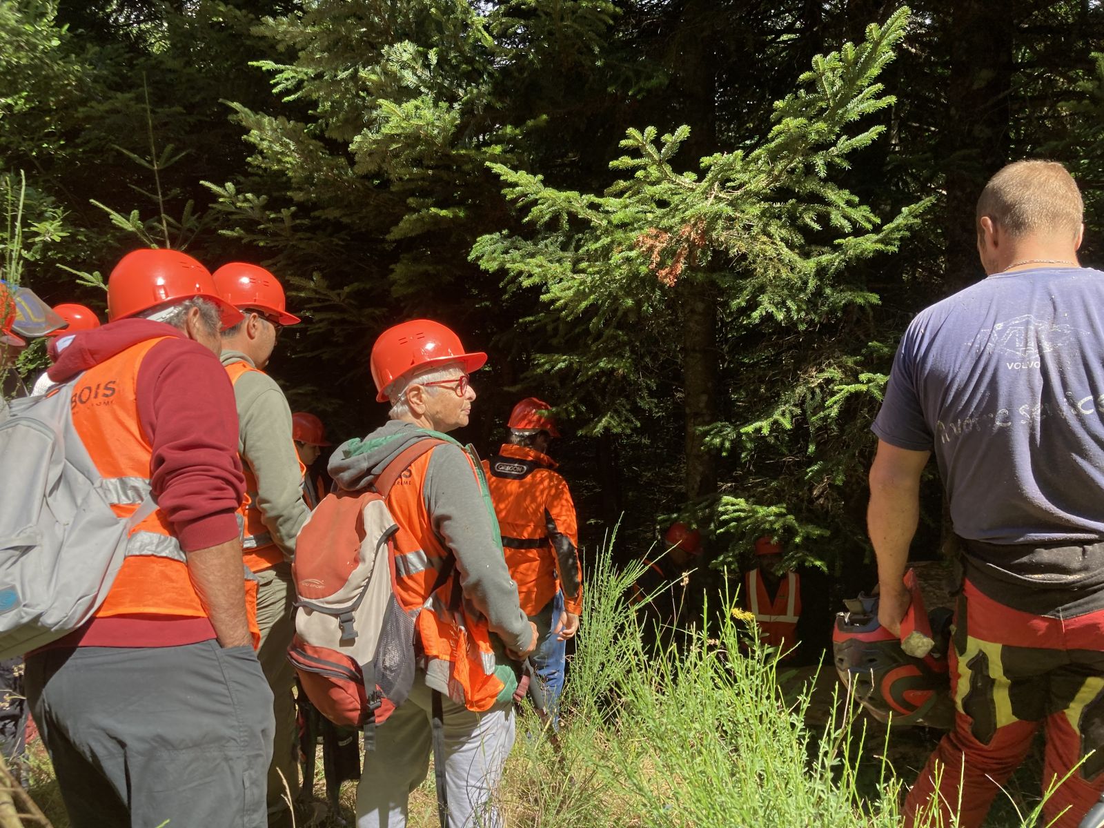 Chantier en forêt publique à Saint-Étienne-de-Lugdarès