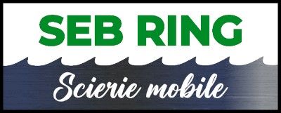 seb-ring
